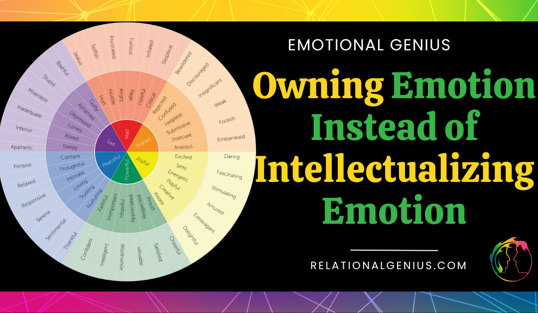 Feelings Wheel image-Multicolored circle with many emotions originating from 6 core emotions. Title is Owning Emotion instead of Intellectualizing Emotion