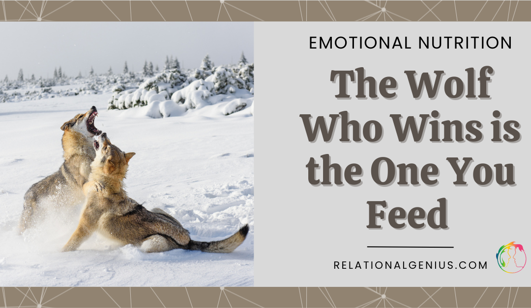 Two wolves fighting in snow. Title of Emotional Nutrition: The One Who Wins is the One You Feed