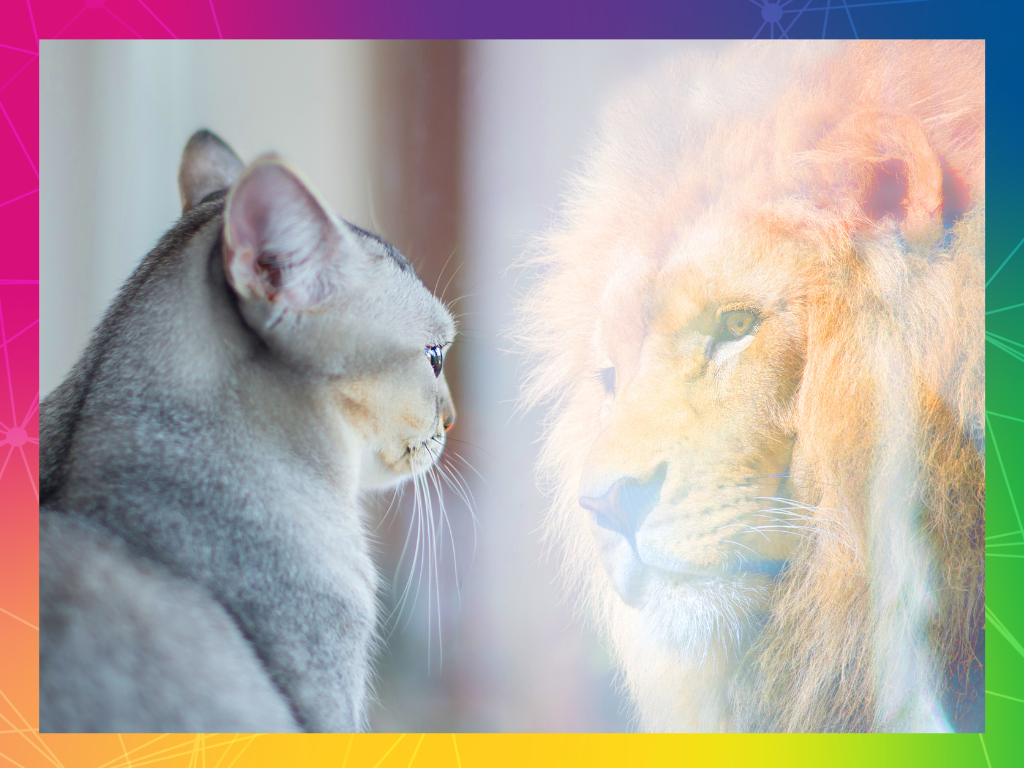 Cat looks at reflection and sees a lion looking back. Header image for Confidence - Relational Genius.